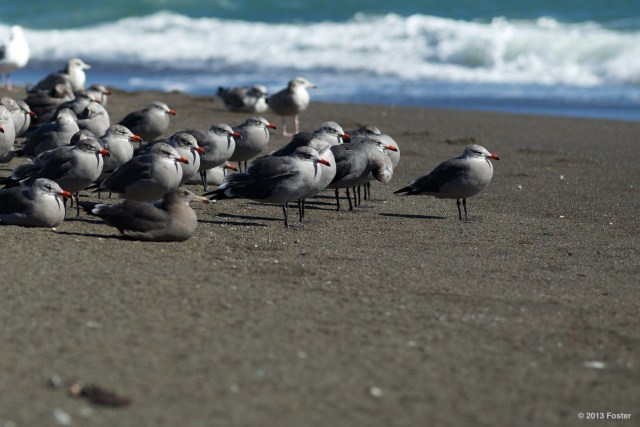 Leader and lieutenants....