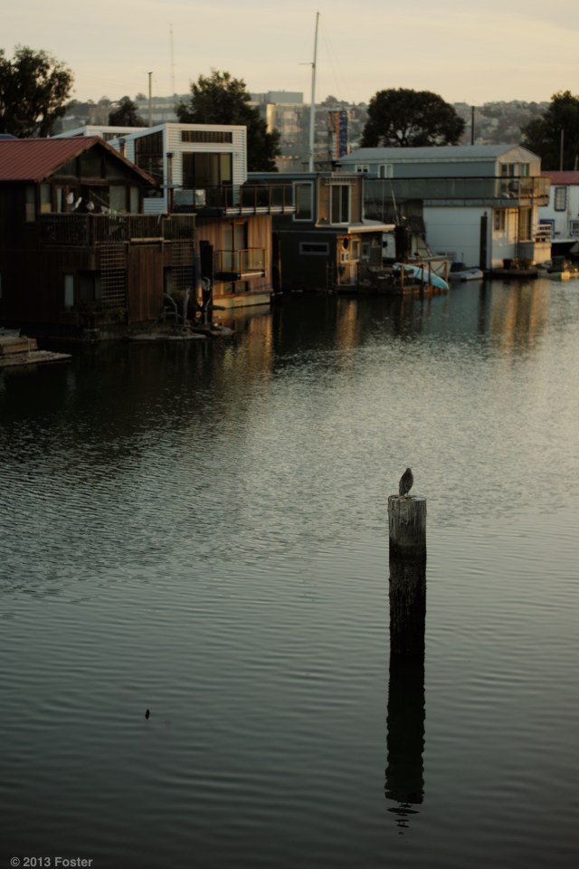 San Francisco boat houses