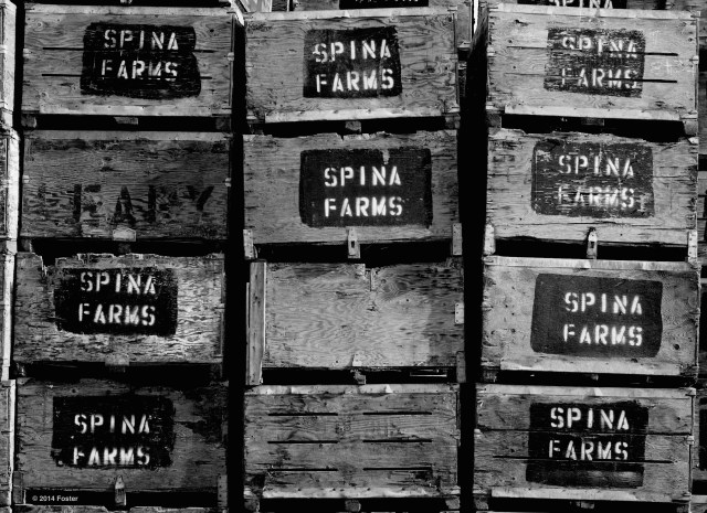 Spina Farms