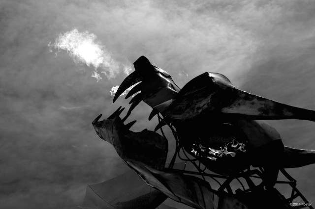 Dragon Fire at the Maker Faire...